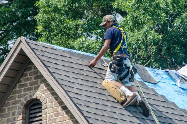 Best Shingle Roofing Installation  in Estelle, LA
